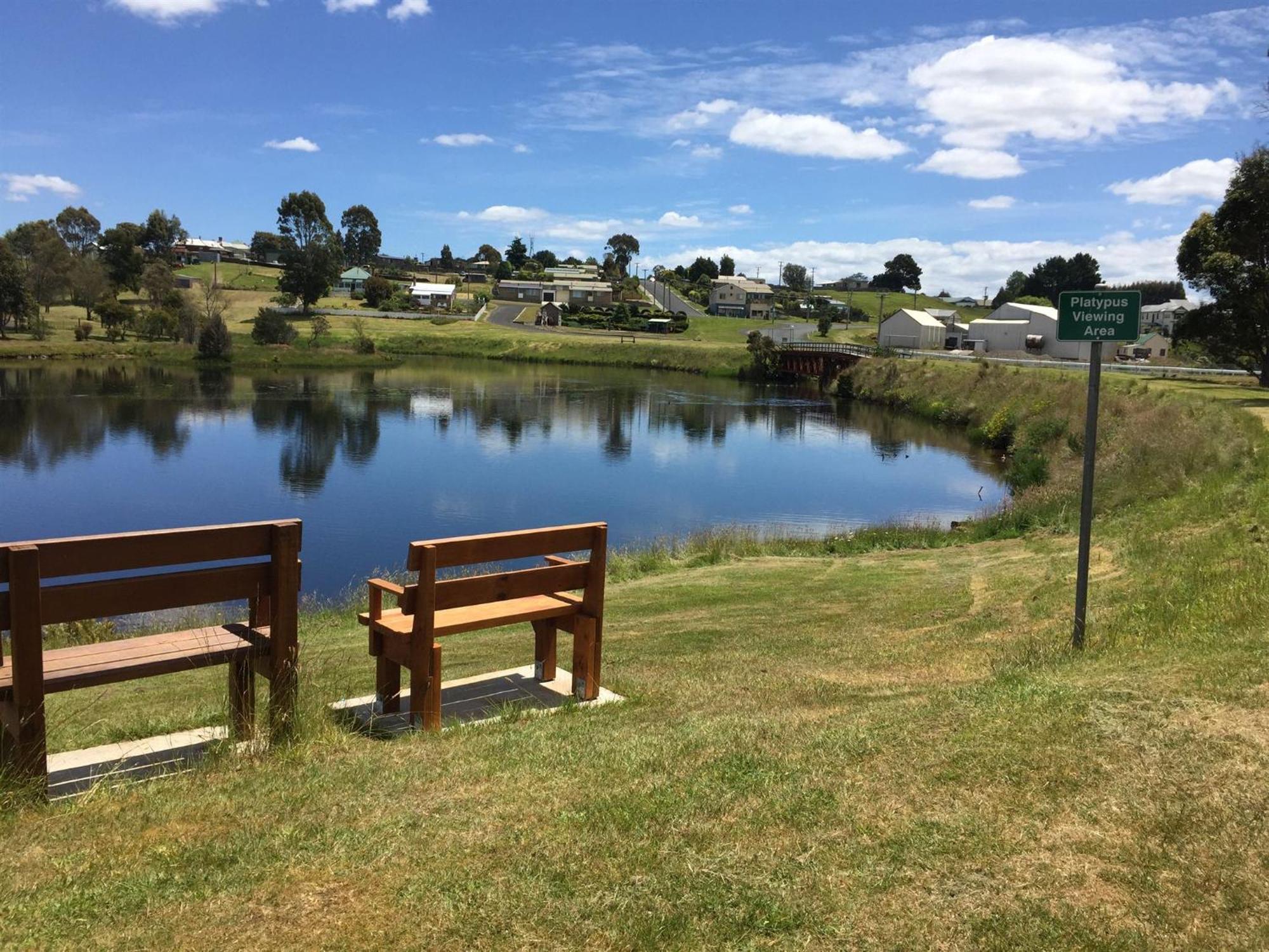 Waratah Waterfall Retreat Unit 1 Free Pay Tv In Two Rooms Free Wifi Zewnętrze zdjęcie